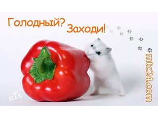Онлайн-заказ еды (Луганськ)