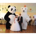 Панда и Белый Медведь на Вашем празднике (Киев)