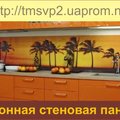 Кухонная стенка из стекла с фотопечатью (Київ)