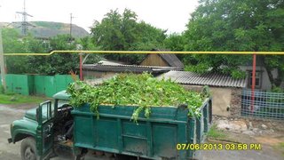 Вывоз листвы и веток. Донецк (Донецьк)