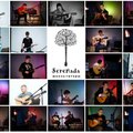 Школа гитары Serenada. Уроки гитары для детей и взрослых (Київ)