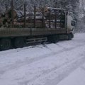 Перевезення лісу (Київ)