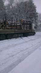 Перевезення лісу (Київ)