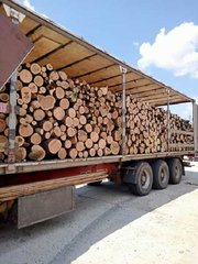 Колотые дрова с доставкой по Одессе и области. (Одесса)