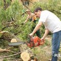 Спил дерева, покос травы , расчистка участков вывоз мусора Одесса 0963608207 0636001011 (Одеса)