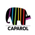 Краски Caparol Капарол для фасадов, для внутренних работ (Одеса)