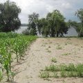 Продам дом / дачу, Днепр, Дніпропетровська область Самарський район .Діброва
