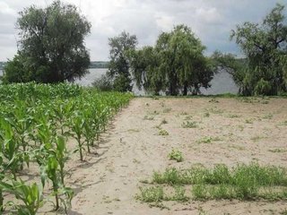 Продам дом, 69 м², Днепр, Дніпропетровська область Самарський район .Діброва. Без посредников.