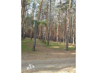 Автоперевозки (Донецк)