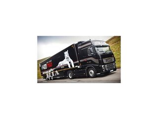 Грузовые перевозки по Одессе Украине и Европе (Одеса)