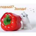 Онлайн-заказ еды (Луганск)