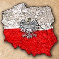 Регистрация фирм в Польше (Киев)