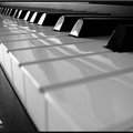 Частные уроки по фортепиано и клавишным (Чернігів)