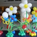 Аэродизаин-украшение праздников шарами. (Донецк)