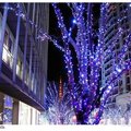 Украшение деревьев гирляндами,подсветка деревьев,световое оформление парков,новогоднее освещение зданий (Киев)