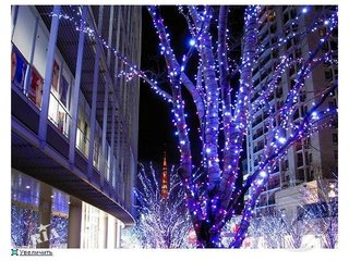 Украшение деревьев гирляндами,подсветка деревьев,световое оформление парков,новогоднее освещение зданий (Київ)