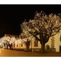 Подсветка деревьев,праздничное освещение деревьев,новогоднее украшение деревьев,елок,кустов (Київ)