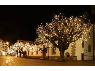Подсветка деревьев,праздничное освещение деревьев,новогоднее украшение деревьев,елок,кустов (Київ)
