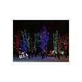 Украшение гирляндами деревьев,иллюминация парков,подсветка деревьев светодиодными гирляндами,монтаж (Київ)