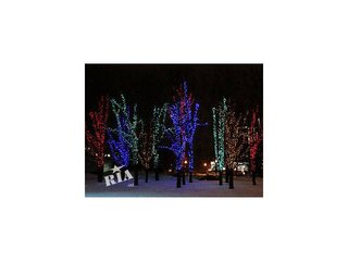 Украшение гирляндами деревьев,иллюминация парков,подсветка деревьев светодиодными гирляндами,монтаж (Киев)