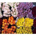 Срезанные цветы оптом в Харькове (Харків)