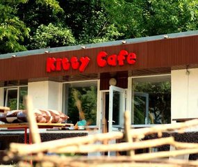 Незабываемый детский День Рождения в кафе «Kitty» в Харьковском зоопарке (Харків)