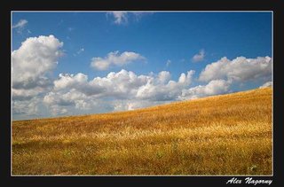 Пасажирські Перевезення до Польші та Німеччини (Тернопіль)