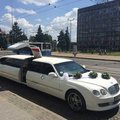 Лимузин Bentley continental (Новоград-Волинський)