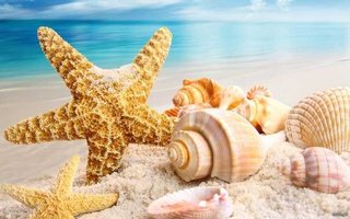 поездки к морю (Кривой Рог)