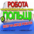 Перевезення на роботу до Польщі. Україна-Польща (Тернопіль)