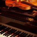 Частные уроки: скрипка, альт, фортепиано, сольфеджио (Киев)
