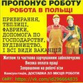 ВОЗИМО НА РОБОТУ. Пропоную Роботу в ПОЛЬЩІ без Посередників (Тернопіль)