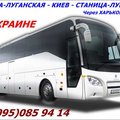 Автобус Станица-Луганская - Киев - Станица-Луганская (Луганськ)