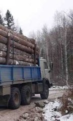 Услуги лесовоза  по Харькову и области. (Харьков)
