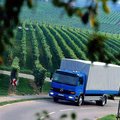 Грузовые перевозки по Украине Европе и СНГ (Черновцы)