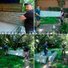 . Фото №7
