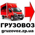 Грузовоз Запорожье. Переезды. Грузчики. Перевозим пианино. gruzovoz.zp.ua (Запорожье)