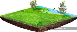 Кадастровий номер. Термінове присвоєння кадастрового номера  Кадастровий план Полтава (Полтава)