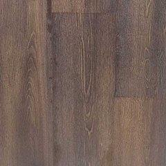 Вантажники Вантажні перевезення, Вивіз будівельного сміття, Послуги вантажників та вантажного транспорту Тернопіль (Тернополь)