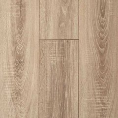 Вантажні  перевезення   +Вантажники  068-100-50-20 (Тернополь)