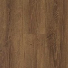 Вантажні  перевезення   +Вантажники  068-100-50-20 (Тернополь)