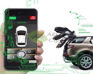 Вантажні перевезення (Тернопіль)