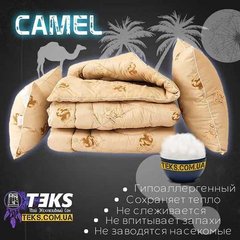 Вантажники Вантажні перевезення, Вивіз будівельного сміття, Послуги вантажників та вантажного транспорту Тернопіль (Тернополь)