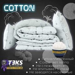 Вантажні перевезення (Тернополь)