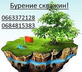 Кваліфіковані вантажники та спеціалізований вантажний транспорт (Тернопіль)