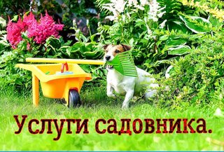 Услуги садовника. Комплексный уход за садом. (Харків)