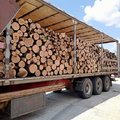 Колотые дрова с доставкой по Одессе и области. (Одеса)