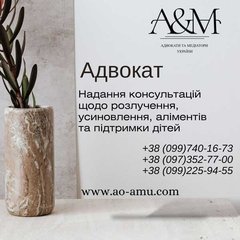 Надання юридичних консультацій щодо розлучення, усиновлення, аліментів та підтримки дітей (Харків)