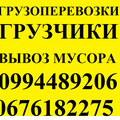 Грузопепевозки запорожье.квартирный переезд.офисный переезд.перевезти вещи.перевозка мебели.перевезти холодильник.диван.пианино.шкаф.грузовое такси.грузчики. 0994489206  0676182275 (Запоріжжя)