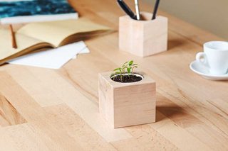 Корпоративні подарунки. Екокубики, квітучі олівці (Київ)